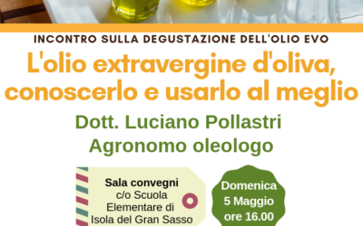 L’olio extravergine d’oliva, conoscerlo per usarlo meglio