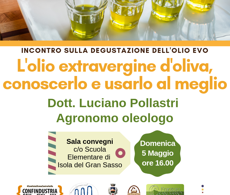 L’olio extravergine d’oliva, conoscerlo per usarlo meglio